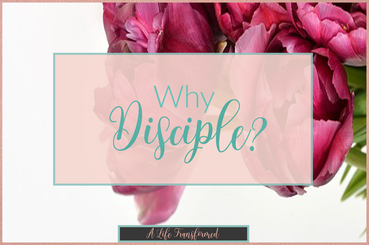 Why-Disciple