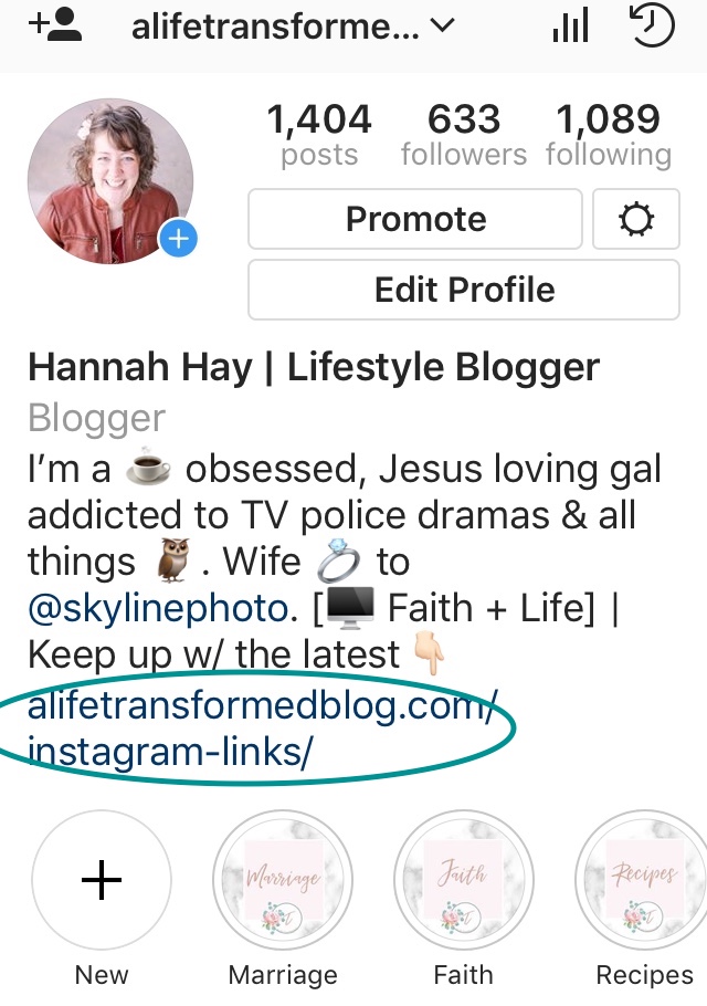 How I Made My Instagram Links Photo 5