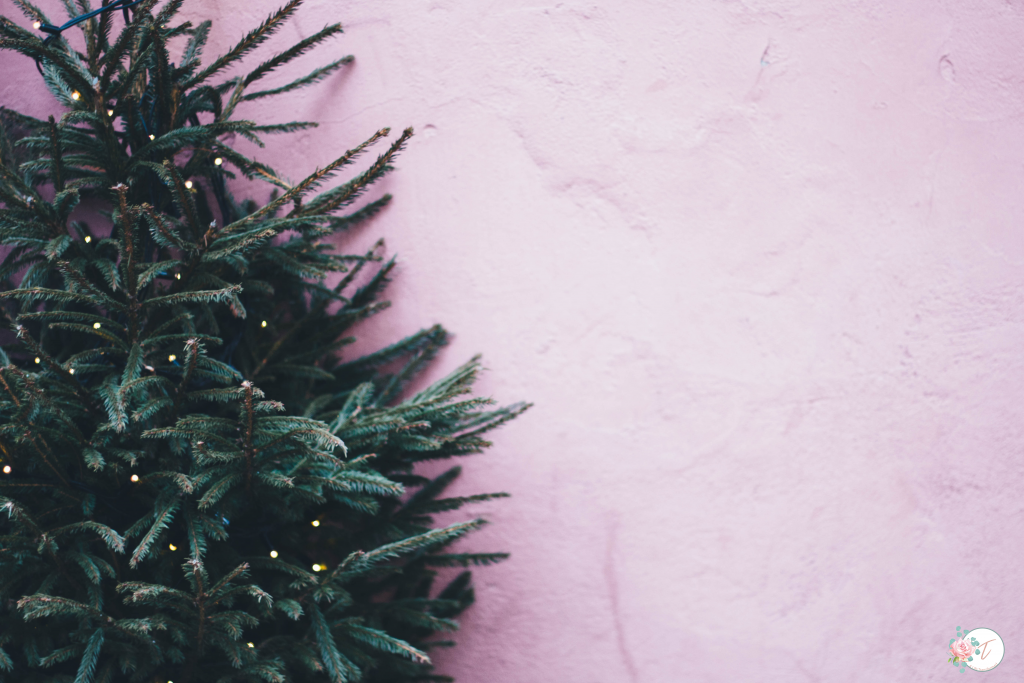 Christmas Tree against Pink Wall